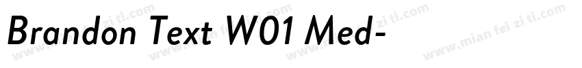 Brandon Text W01 Med字体转换